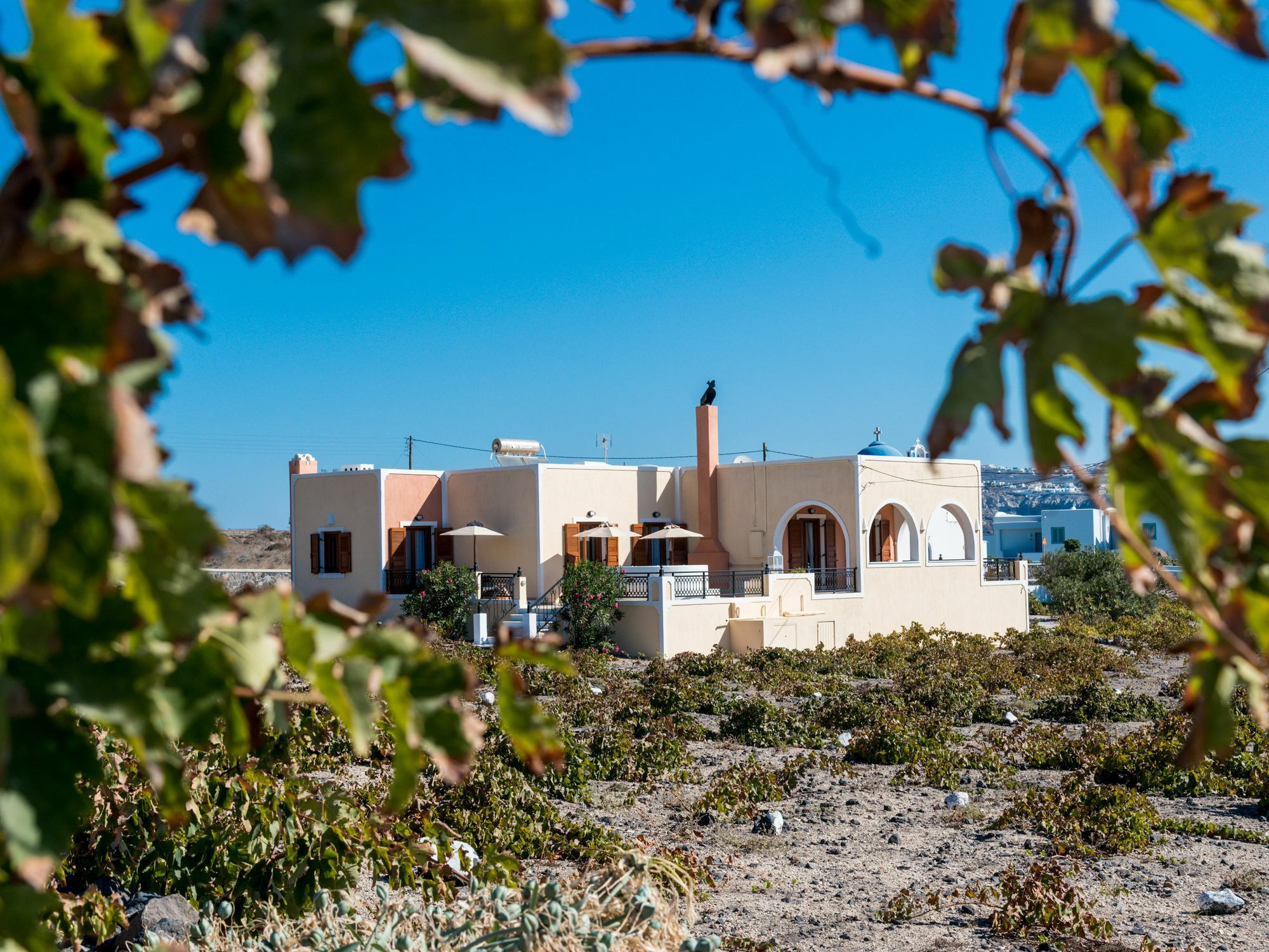 Vineyard Exclusive Suites Акротири Экстерьер фото